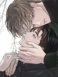 70628